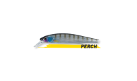 DOGO 110 SP