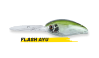 HYPNO DD