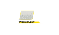 GHOST SHAD
