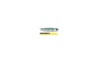 MIRROR SHAD