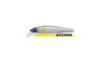 DOGO 110 SP