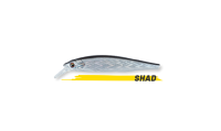 DOGO 110 SP