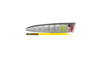 HI-POP