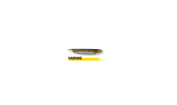 MIRROR SHAD
