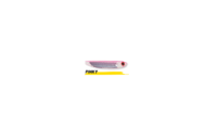 MIRROR SHAD